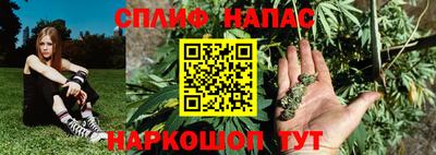 прущие грибы Малгобек