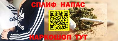 прущие грибы Малгобек