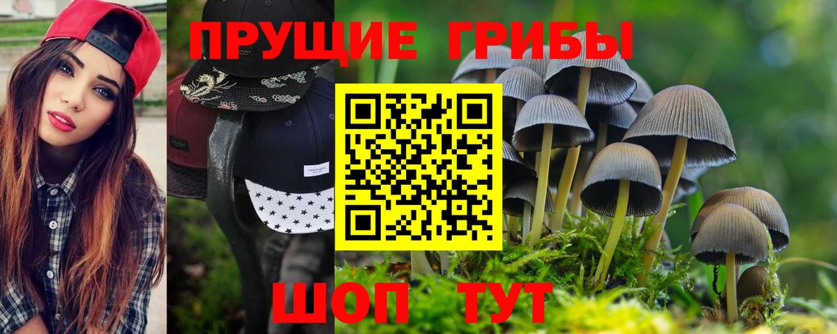 Галлюциногенные грибы мицелий  Вход с VPN  закладки  Феодосия 